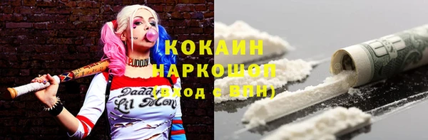 прущие грибы Алексеевка
