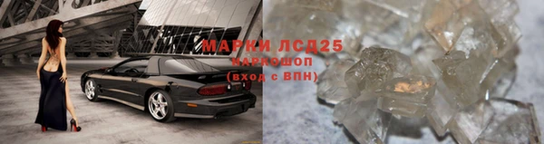 прущие грибы Алексеевка