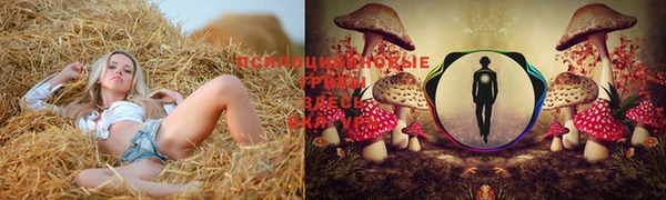 мескалин Алзамай