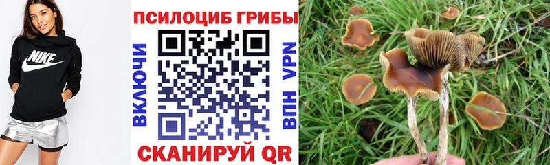 Галлюциногенные грибы Psilocybine cubensis  Ардон 